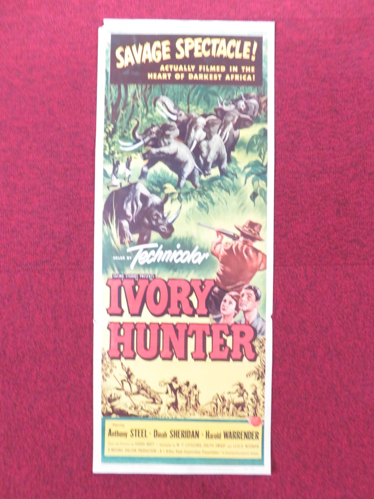 IVORY HUNTER US INSERT (14"x 36") POSTER ANTHONY STEEL DINAH SHERIDAN 1952 Rendezvous Cinema Movie posters