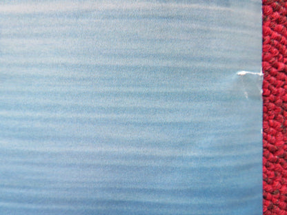 JACK GOES BOATING UK QUAD ROLLED POSTER PHILIP SEYMOUR HOFFMAN 2010 Rendezvous Cinema Movie posters