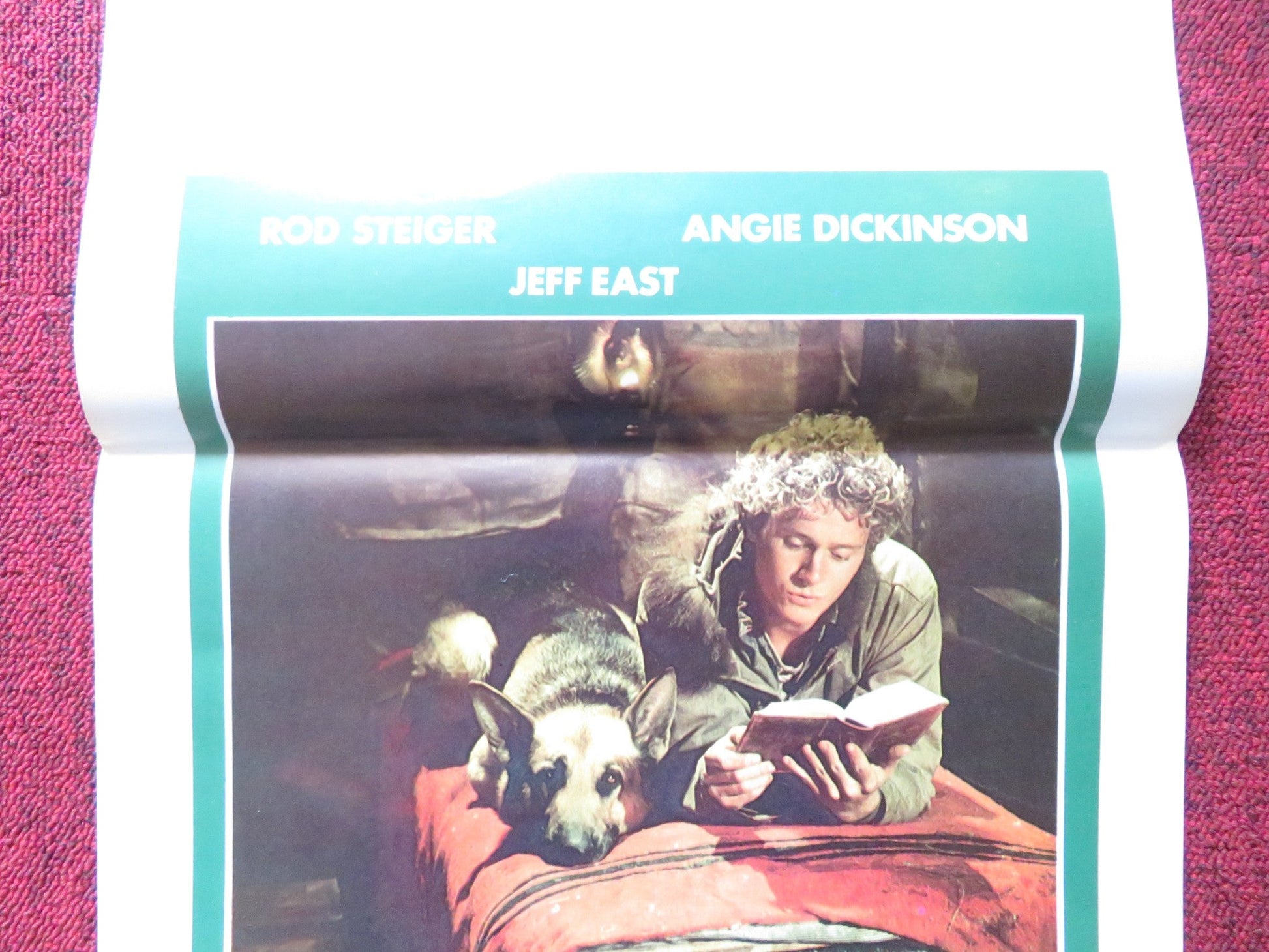 JACK LONDON STORY ITALIAN LOCANDINA POSTER ROD STEIGER ANGIE DICKINSON 1980 Rendezvous Cinema Movie posters