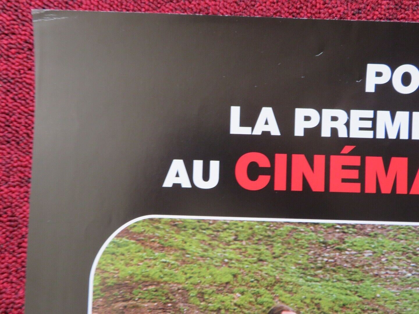 JACKASS 3D FRENCH (16"x 23.5") POSTER JOHNNY KNOXVILLE STEVE-O 2010 - Rendezvous Cinema