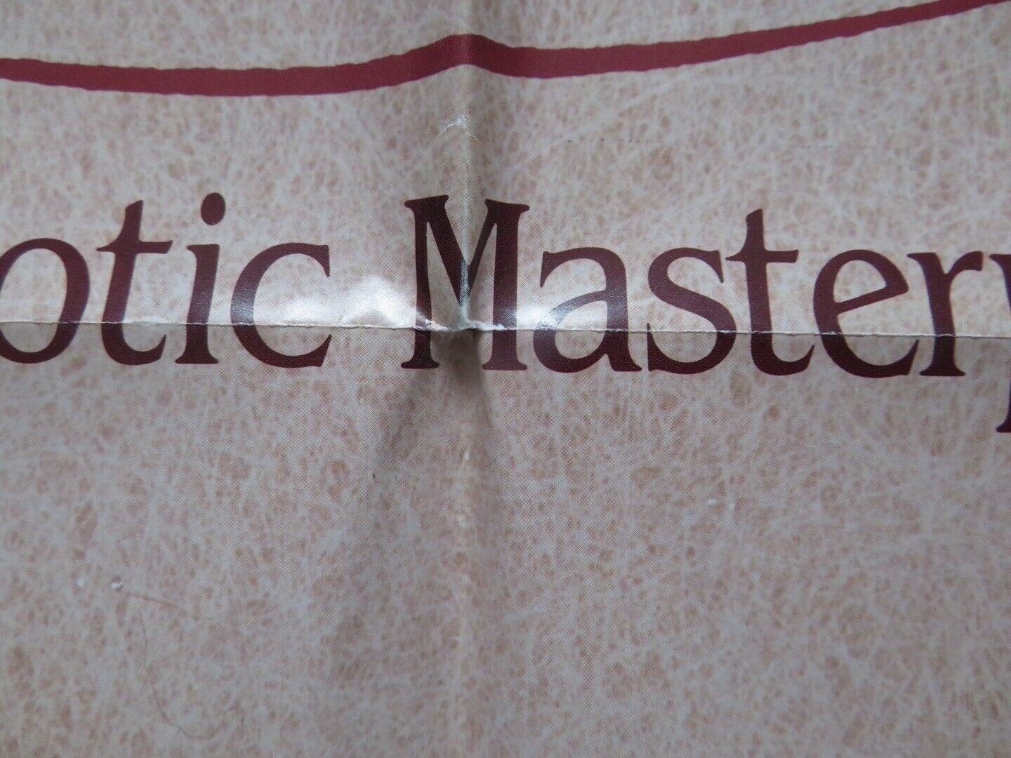 JAMES JOYCE'S WOMEN US ONE SHEET POSTER FIONNULA FLANAGAN CHRIS O'NEILL 1985 Movie posters