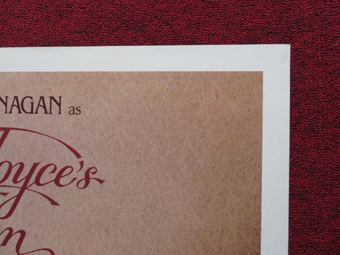 JAMES JOYCE'S WOMEN US ONE SHEET POSTER FIONNULA FLANAGAN CHRIS O'NEILL 1985 Movie posters