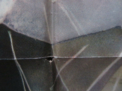 JANIE GETS MARRIED FOLDED US ONE SHEET POSTER JOAN LESLIE ROBERT HUTTON 1946 Movie posters