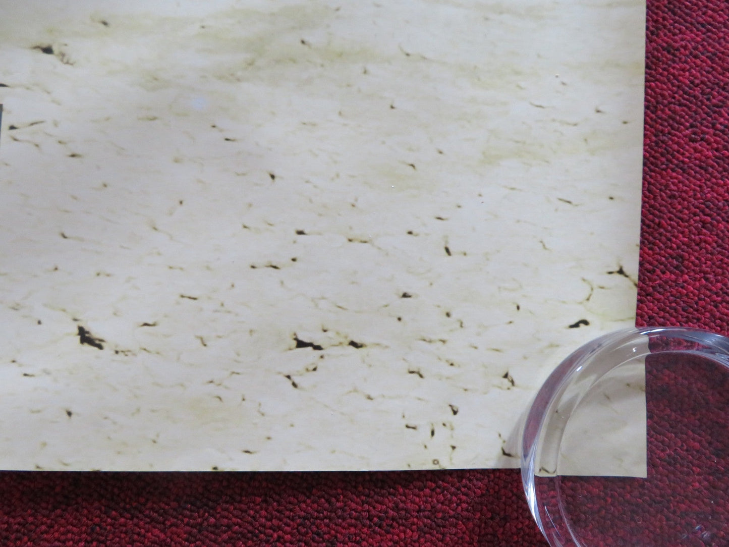 JARHEAD UK QUAD ROLLED POSTER JAKE GYLLENHAAL JAMIE FOX 2005 Rendezvous Cinema Movie posters