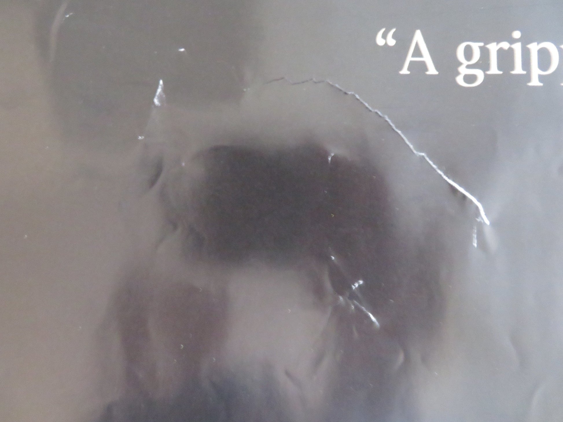 JINDABYNE UK QUAD (30"x 40") ROLLED POSTER GABRIEL BYRNE LAURA LINNEY 2006 Rendezvous Cinema Movie posters