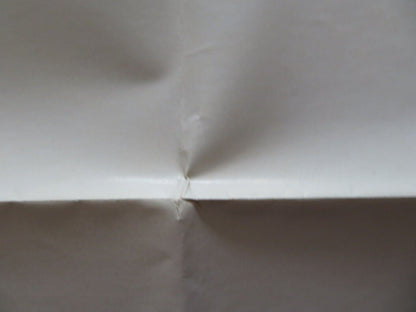 JOAQUIN MURIETA / THE DESPERATE MISSION FOLDED US ONE SHEET POSTER 1969 Movie posters