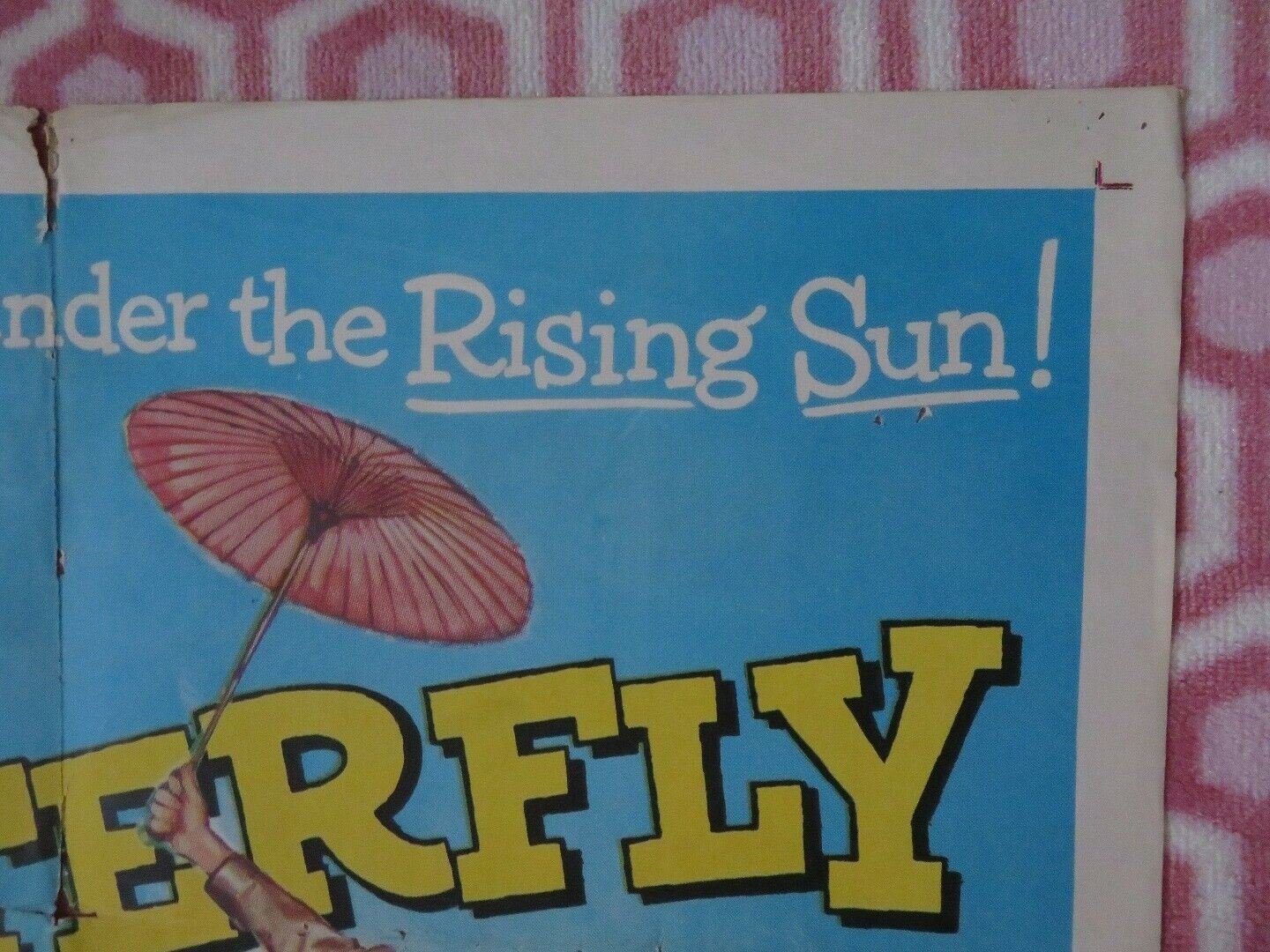 JOE BUTTERFLY US ONE SHEET POSTER AUDIE MURPHY GEORGE NADER 1957 Movie posters