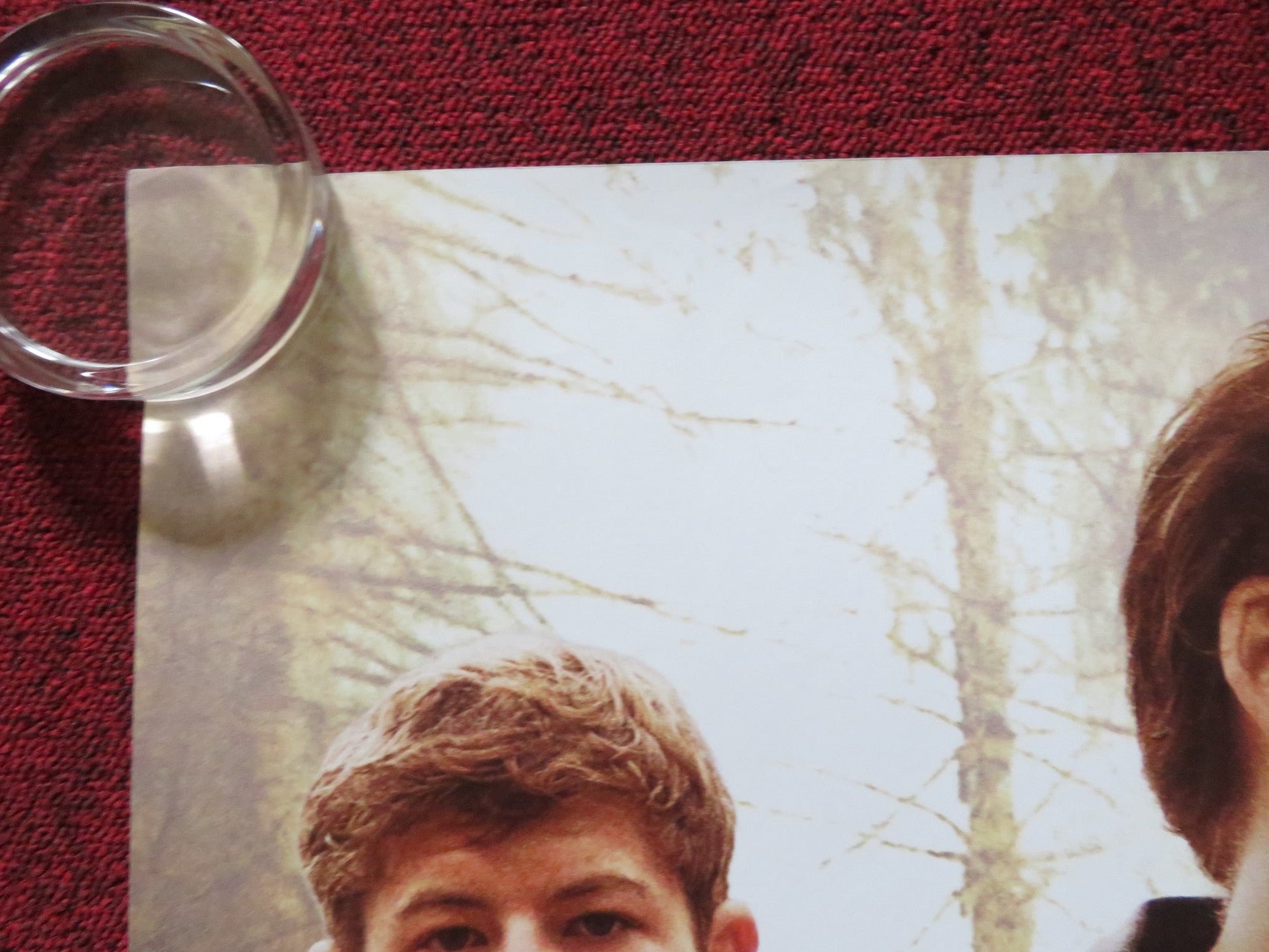 JOE UK QUAD (30"x 40") ROLLED POSTER NICOLAS CAGE TYE SHERIDAN 2013 Rendezvous Cinema Movie posters