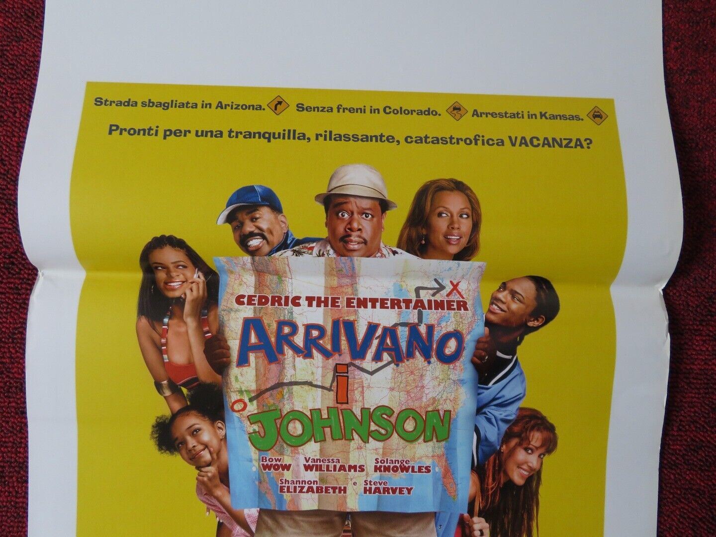 JOHNSON FAMILY VACATION ITALIAN LOCANDINA (27.5"x13") POSTER V WILLIAMS 2004 Movie posters