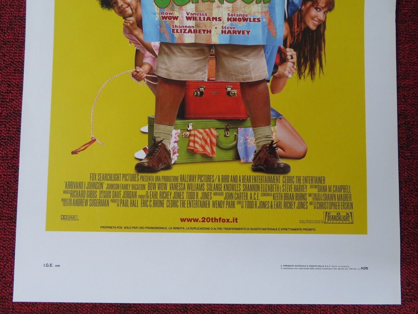 JOHNSON FAMILY VACATION ITALIAN LOCANDINA (27.5"x13") POSTER V WILLIAMS 2004 Movie posters