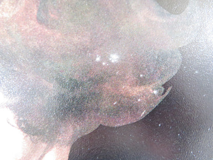 JOINT VENTURE US TRI FOLDED ONE SHEET ROLLED POSTER VANESSA DEL RIO 1977 Rendezvous Cinema Movie posters