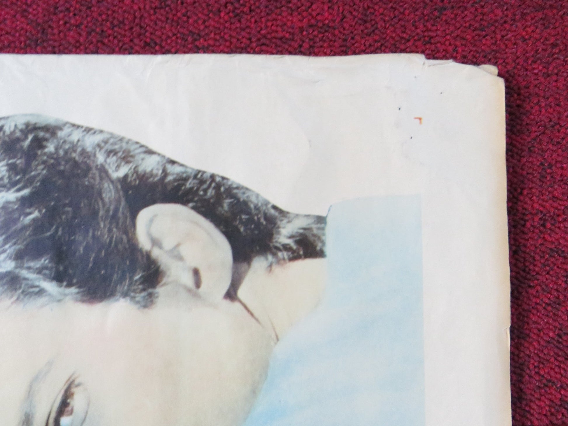 JOSEPH AND HIS BRETHREN HALF SHEET (22"x 28") POSTER GEOFFREY HORNE 1963 Rendezvous Cinema Movie posters