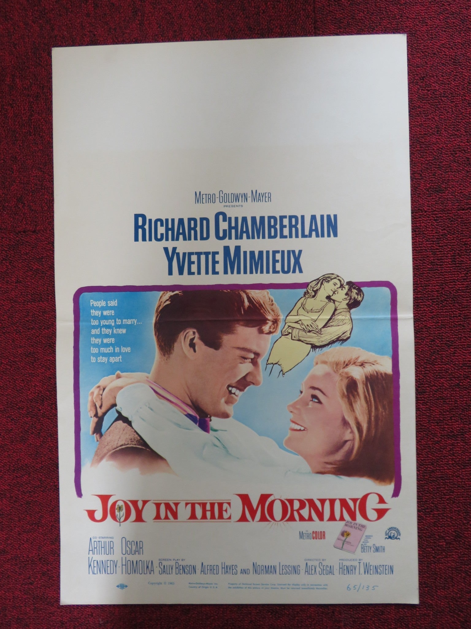 JOY IN THE MORNING WINDOW CARD (14"x 22") POSTER RICHARD CHAMBERLAIN 1965 Rendezvous Cinema Movie posters