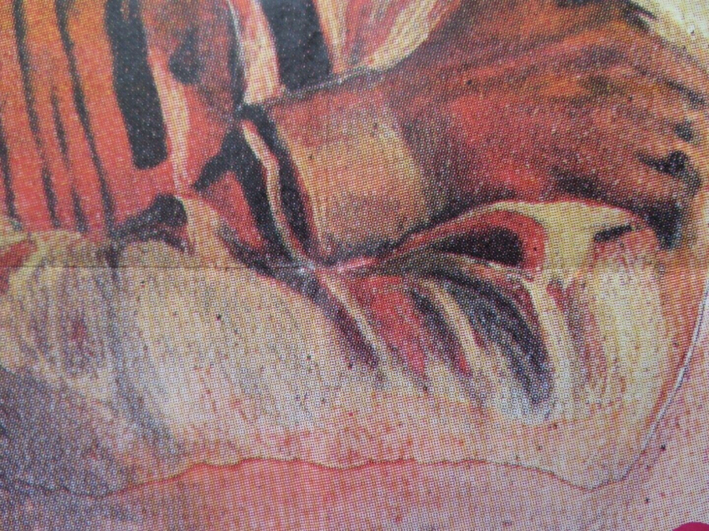 JUEGO DE PODER SPANISH ROLLED POSTER JON FINCH CATRIONA MACCOLL 1983 - Rendezvous Cinema