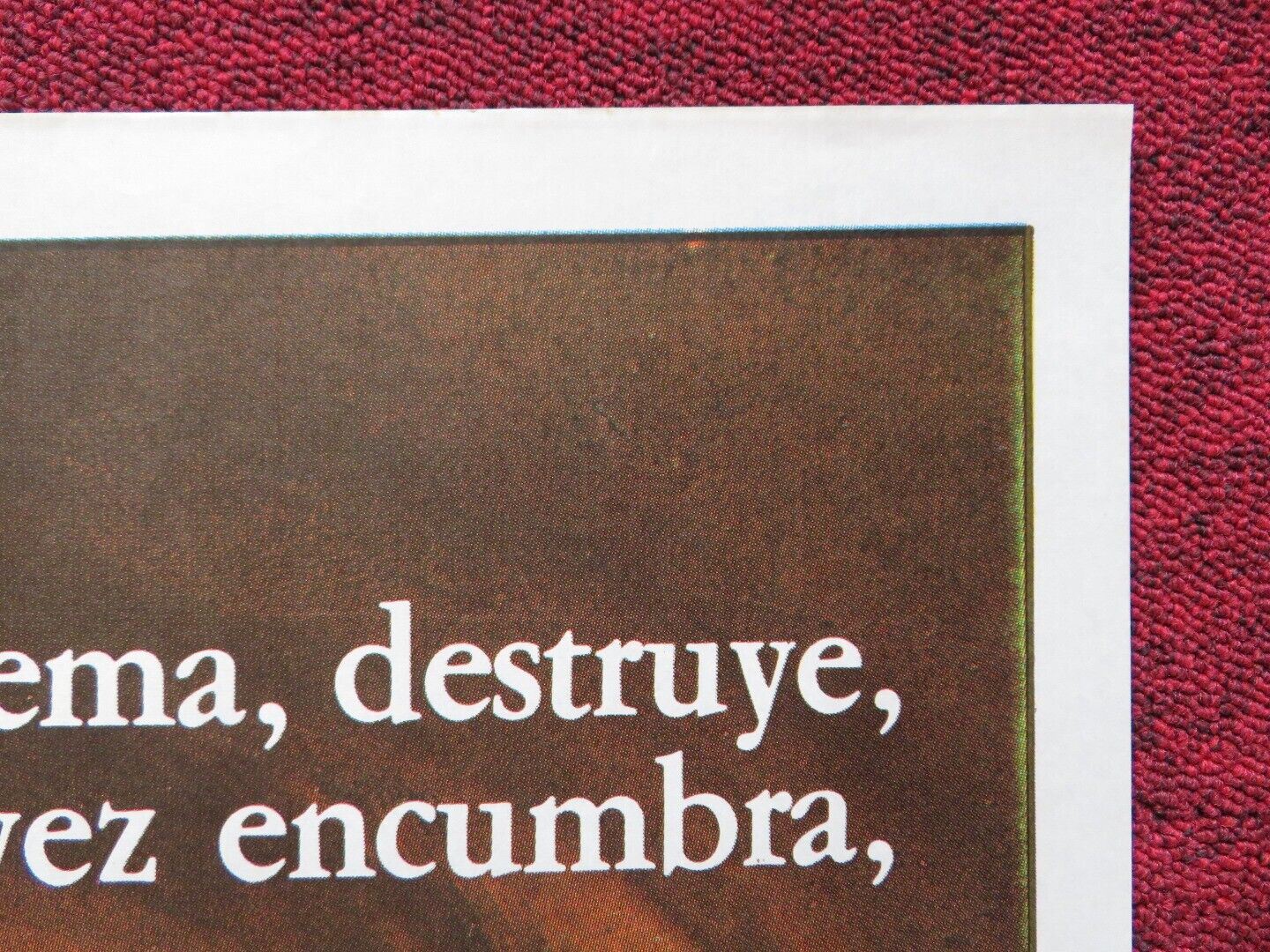 JUEGO DE PODER SPANISH ROLLED POSTER JON FINCH CATRIONA MACCOLL 1983 - Rendezvous Cinema