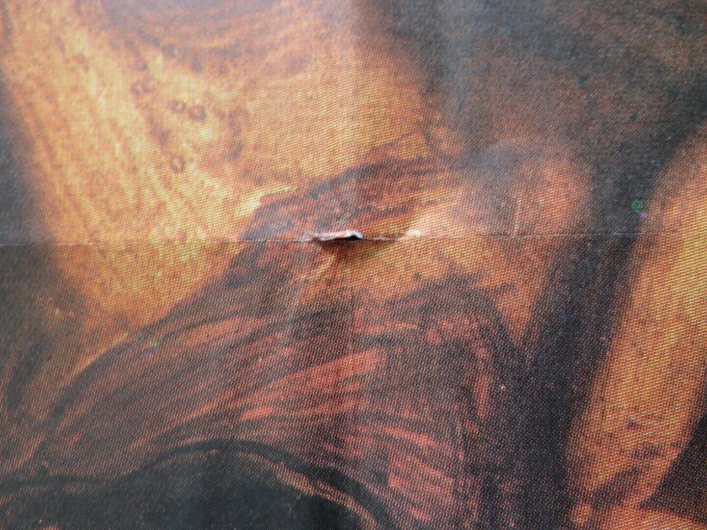 JUEGO DE PODER SPANISH ROLLED POSTER JON FINCH CATRIONA MACCOLL 1983 - Rendezvous Cinema