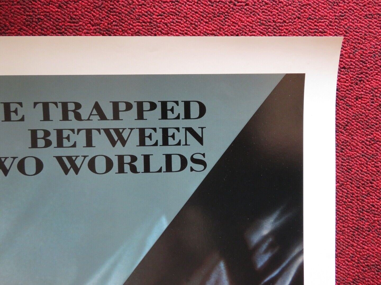 JULIA AND JULIA US ONE SHEET ROLLED POSTER STING KATHLEEN TURNER 1988 Rendezvous Cinema Movie posters