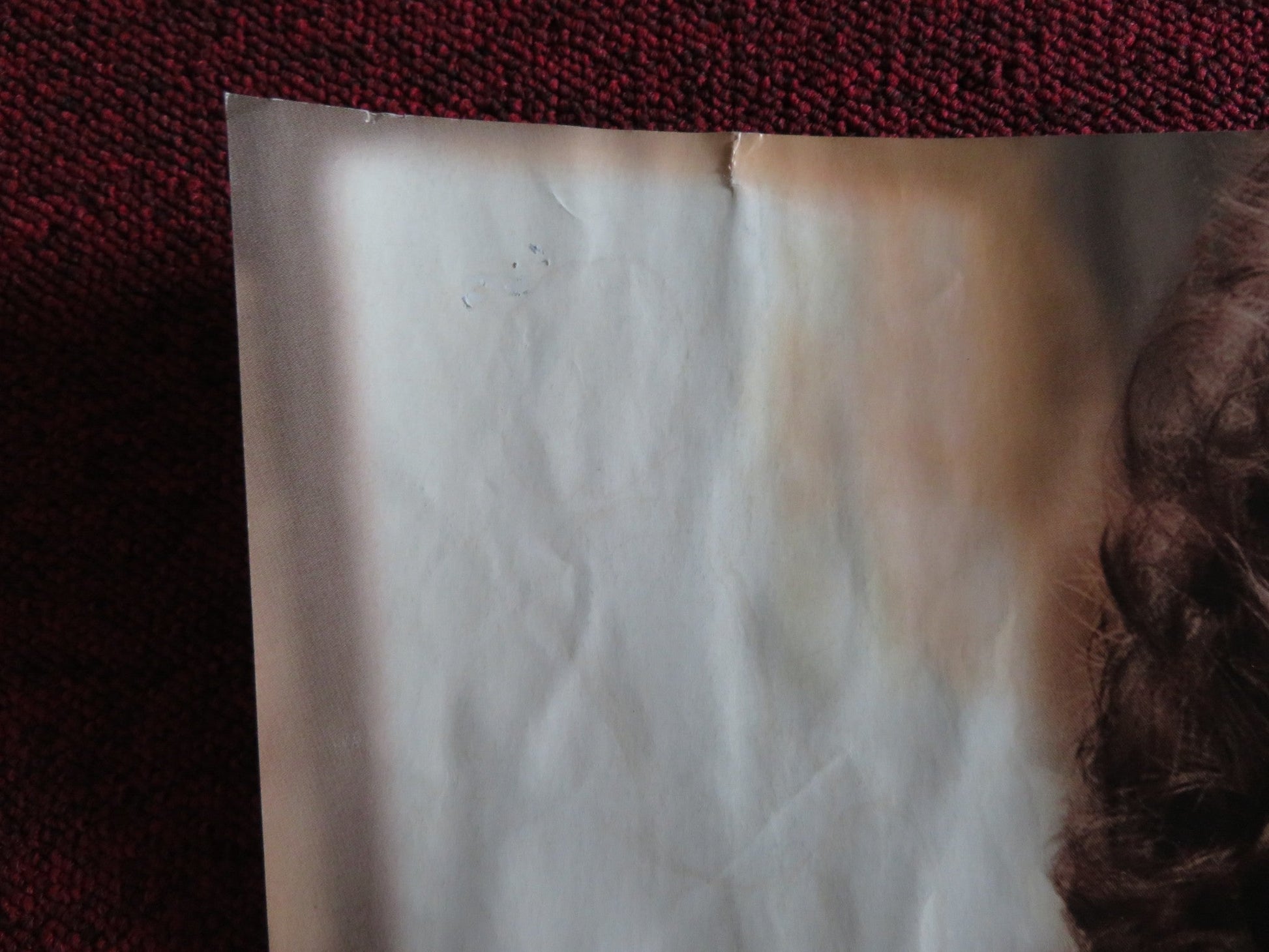 JULIE & JULIA UK QUAD (30"x 40") ROLLED POSTER MERYL STREEP AMY ADAMS 2009 Rendezvous Cinema Movie posters