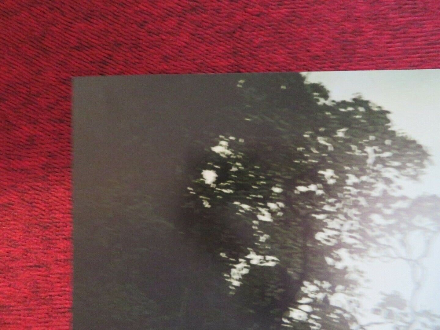 JUMANJI WELCOME TO THE JUNGLE FOLDED US ONE SHEET POSTER DWAYNE JOHNSON 2017 Movie posters