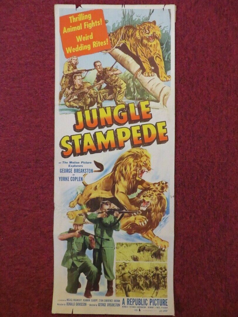 JUNGLE STAMPEDE US INSERT (14"x 36") POSTER GEORGE P.BREAKSTON YORKE COPLEN 1950 - Rendezvous Cinema