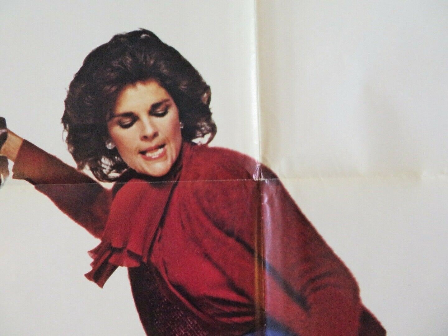 JUST TELL ME WHAT YOU WANT US ONE SHEET POSTER ALI MACGRAW ALAN KING 1980 Movie posters