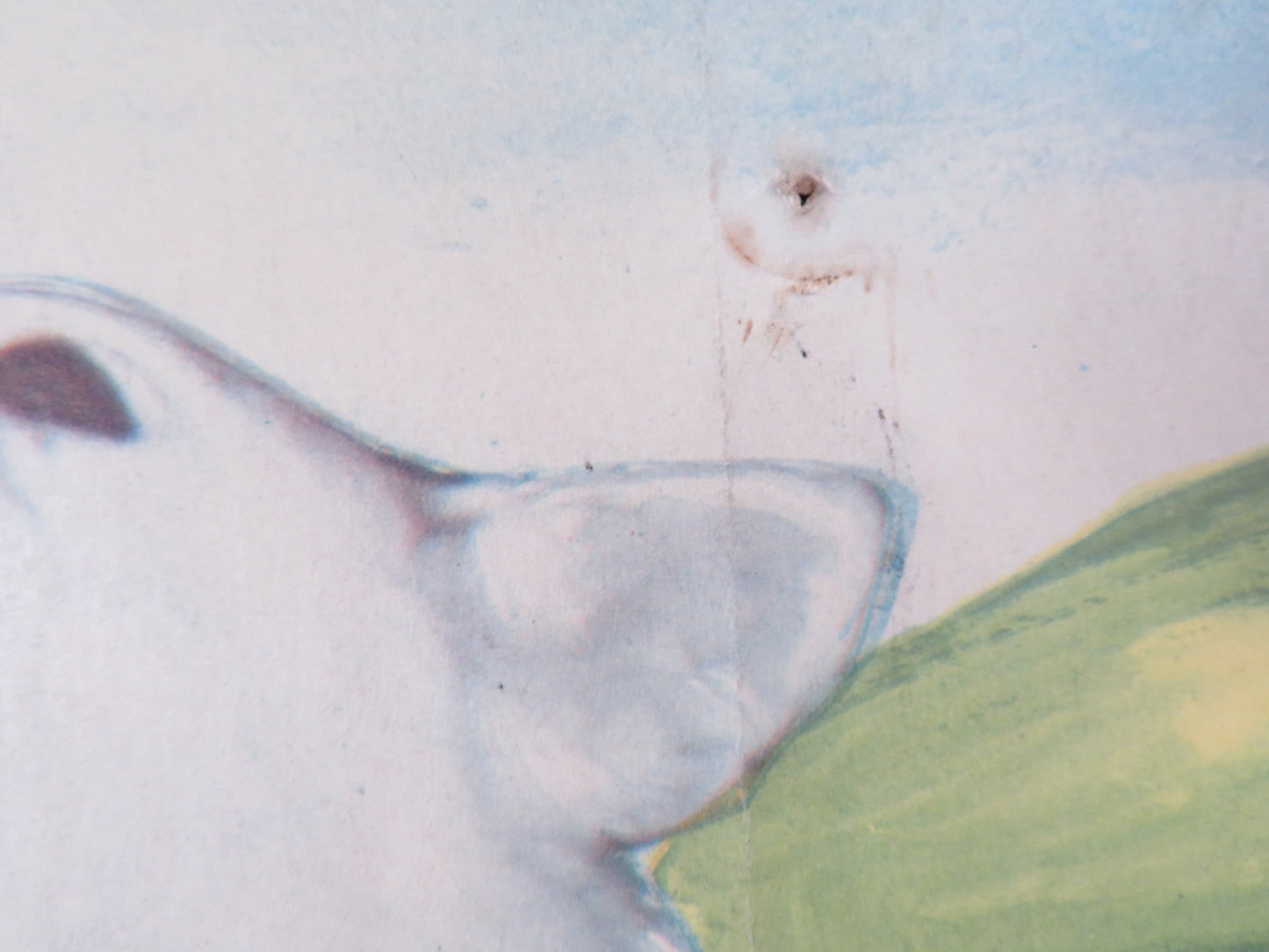 KAZAN US INSERT (14"x 36") POSTER STEPHEN DUNNE LOIS MAXWELL 1949 Rendezvous Cinema Movie posters