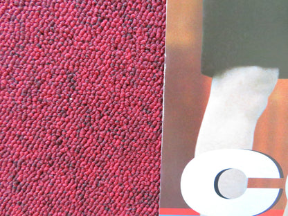 KICKED IN THE HEAD ITALIAN LOCANDINA POSTER KEVIN CORRIGAN LINDA FIORENTINO 1997 Rendezvous Cinema Movie posters