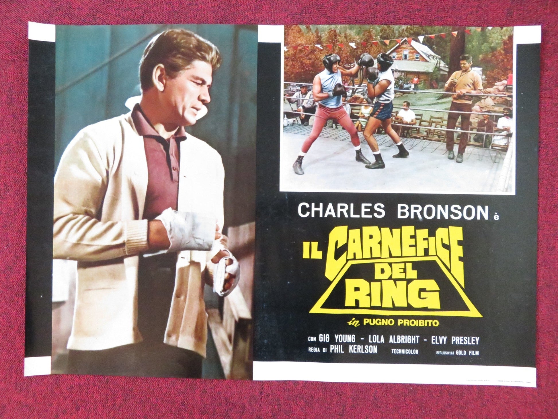 KID GALAHAD - B ITALIAN FOTOBUSTA POSTER CHARLES BRONSON ELVIS PRESLEY 1962 Rendezvous Cinema Movie posters
