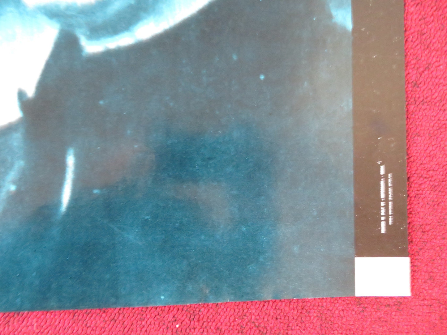 KID GALAHAD - D ITALIAN FOTOBUSTA POSTER CHARLES BRONSON ELVIS PRESLEY 1962 Rendezvous Cinema Movie posters