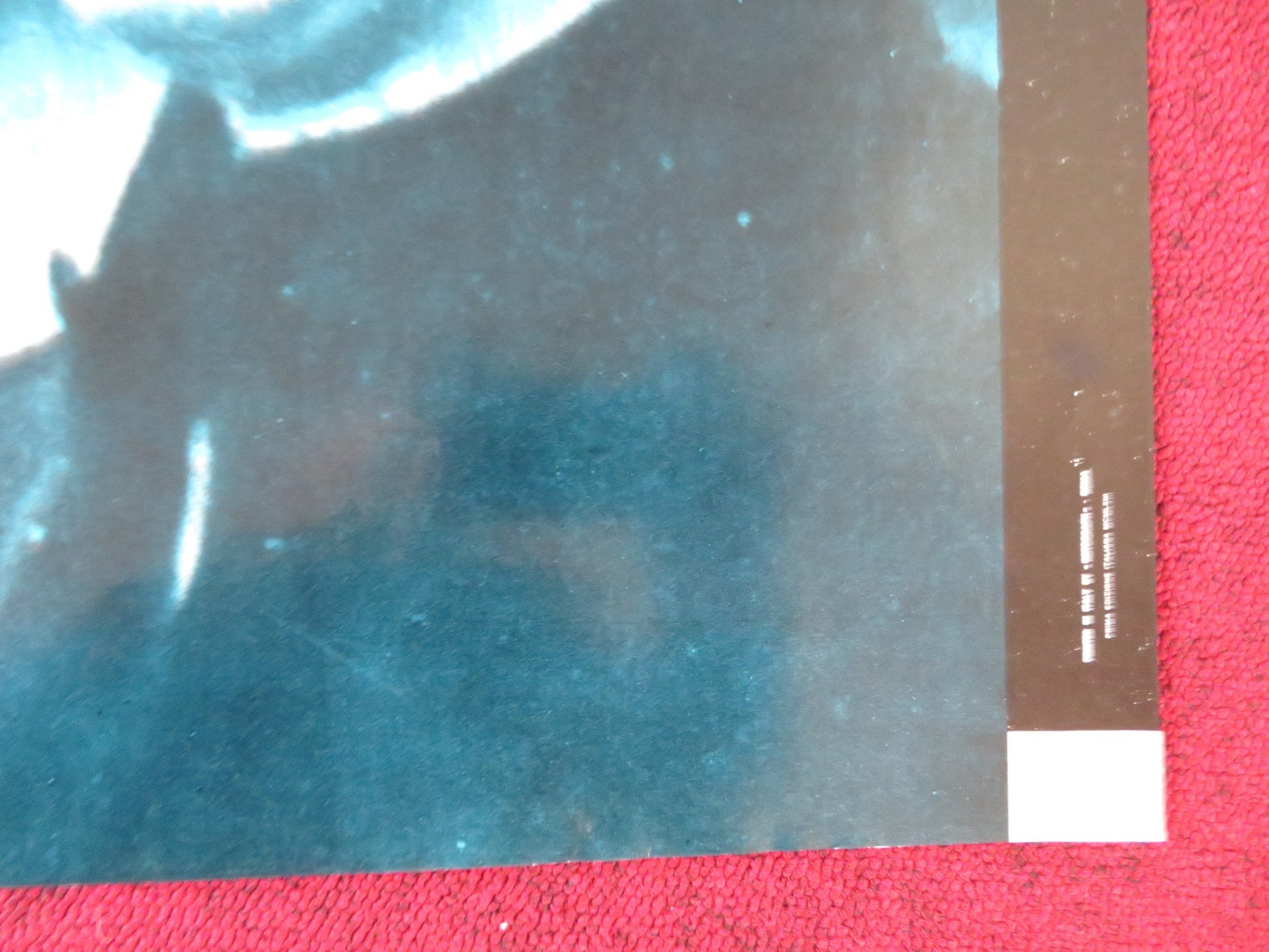 KID GALAHAD - D ITALIAN FOTOBUSTA POSTER CHARLES BRONSON ELVIS PRESLEY 1962 Rendezvous Cinema Movie posters