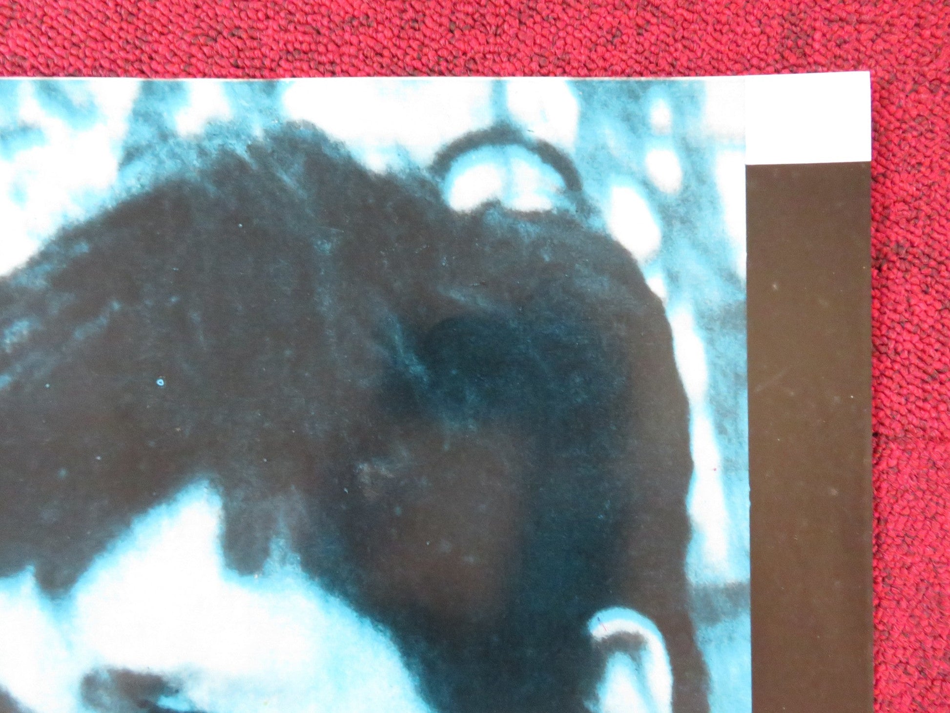 KID GALAHAD - D ITALIAN FOTOBUSTA POSTER CHARLES BRONSON ELVIS PRESLEY 1962 Rendezvous Cinema Movie posters