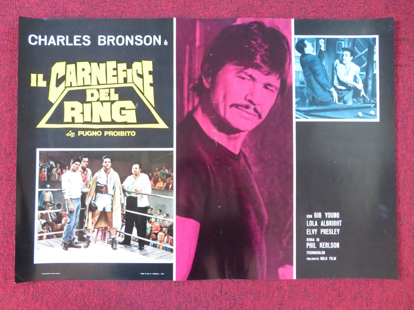 KID GALAHAD - F ITALIAN FOTOBUSTA POSTER CHARLES BRONSON ELVIS PRESLEY 1962 Rendezvous Cinema Movie posters