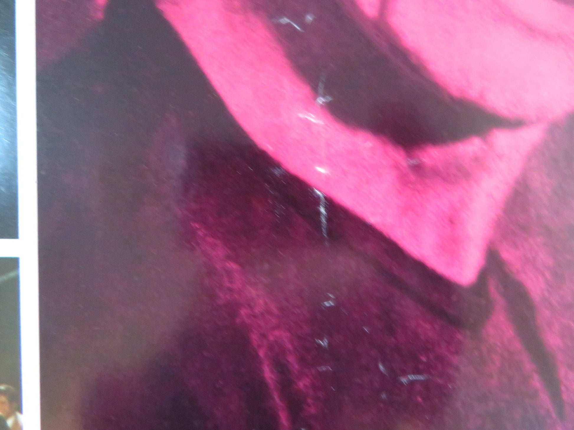 KID GALAHAD - F ITALIAN FOTOBUSTA POSTER CHARLES BRONSON ELVIS PRESLEY 1962 Rendezvous Cinema Movie posters