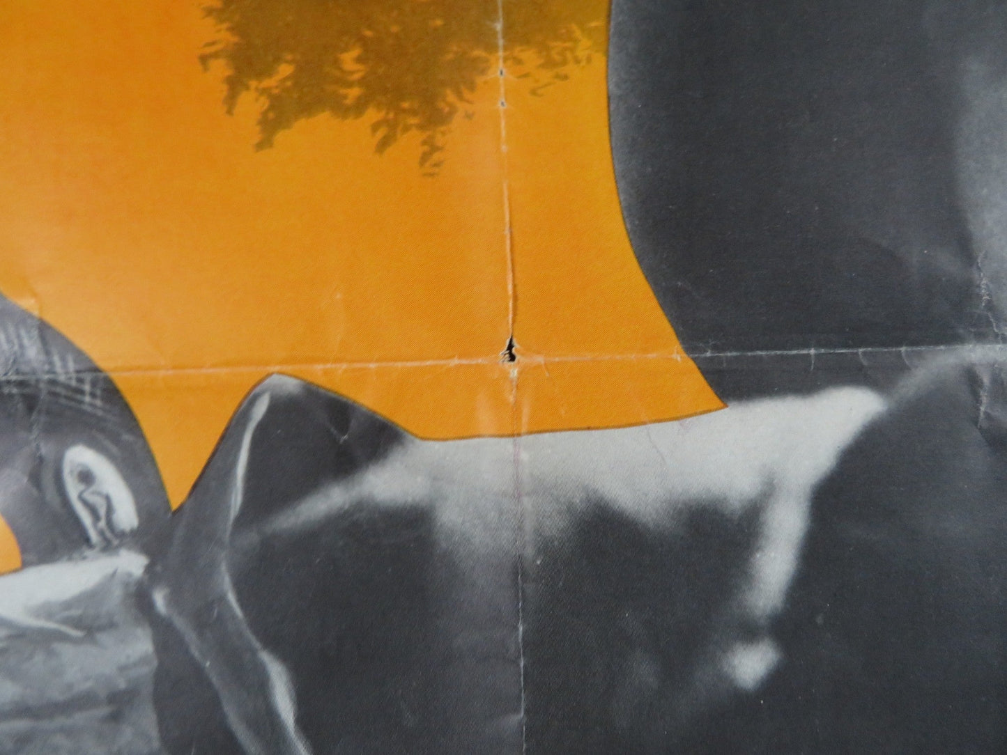 KID RODELO FOLDED US ONE SHEET POSTER DON MURRAY JANET LEIGH 1966 Rendezvous Cinema Movie posters