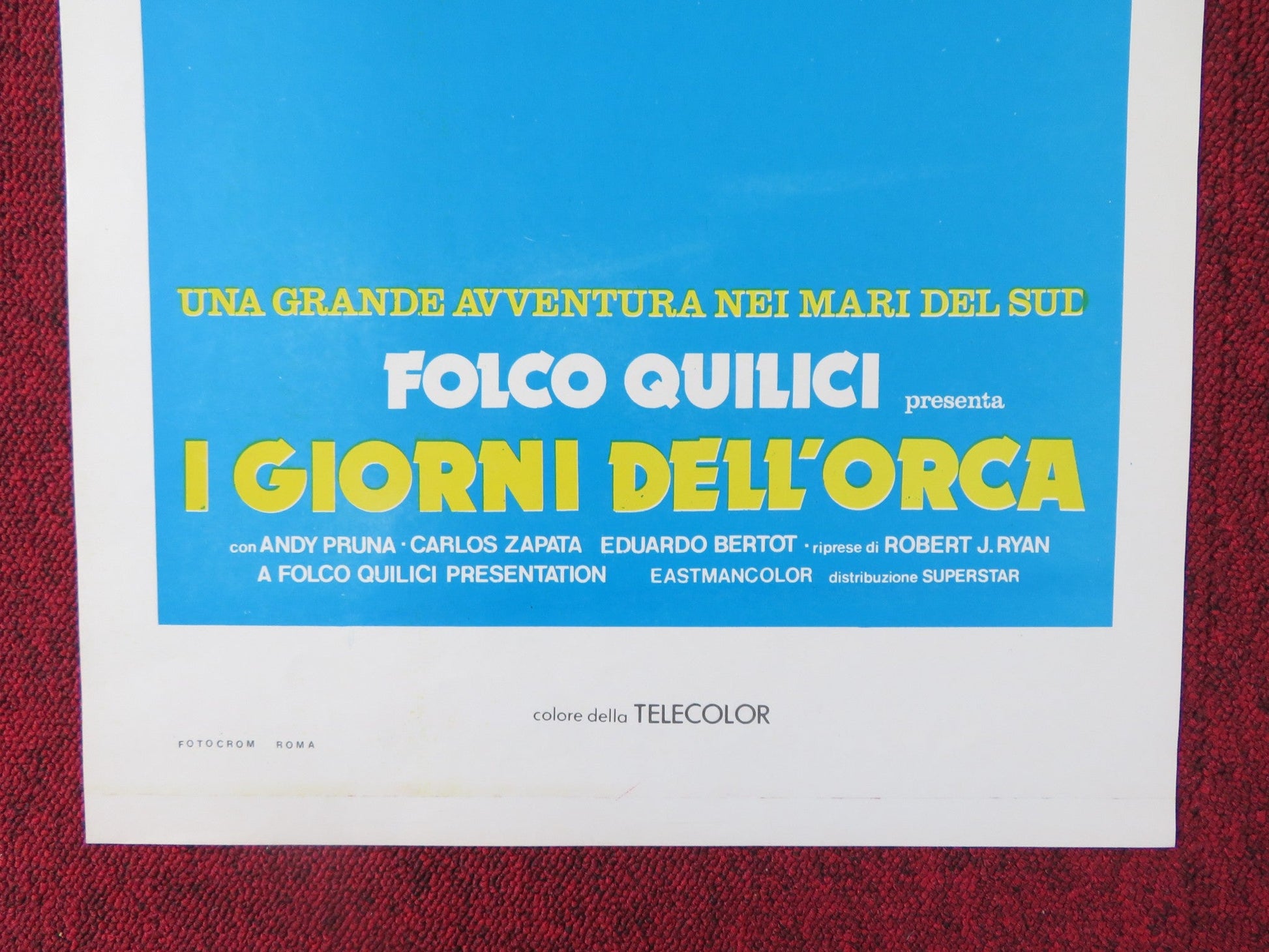 KILLERS OF THE WILD ITALIAN LOCANDINA POSTER ANDY PRUNA CAROS ZAPATA 1977 Rendezvous Cinema Movie posters