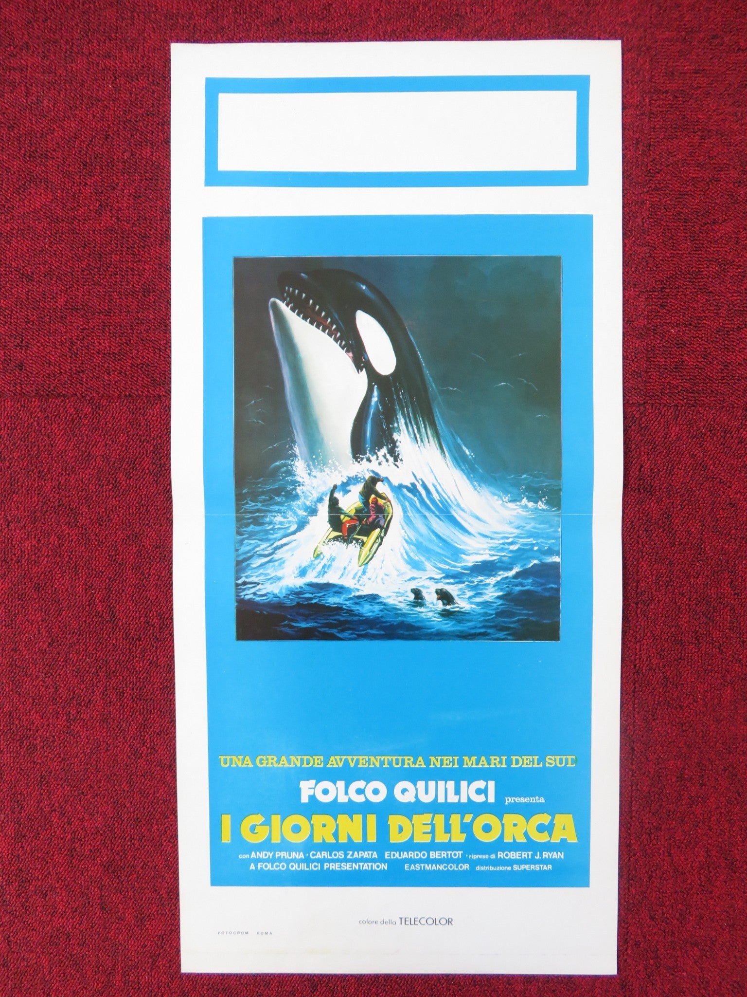 KILLERS OF THE WILD ITALIAN LOCANDINA POSTER ANDY PRUNA CAROS ZAPATA 1977 Rendezvous Cinema Movie posters