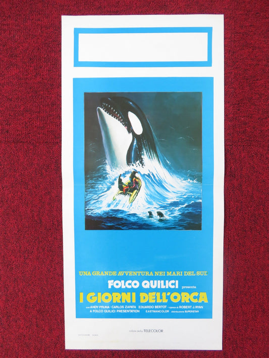 KILLERS OF THE WILD ITALIAN LOCANDINA POSTER ANDY PRUNA CAROS ZAPATA 1977 Rendezvous Cinema Movie posters