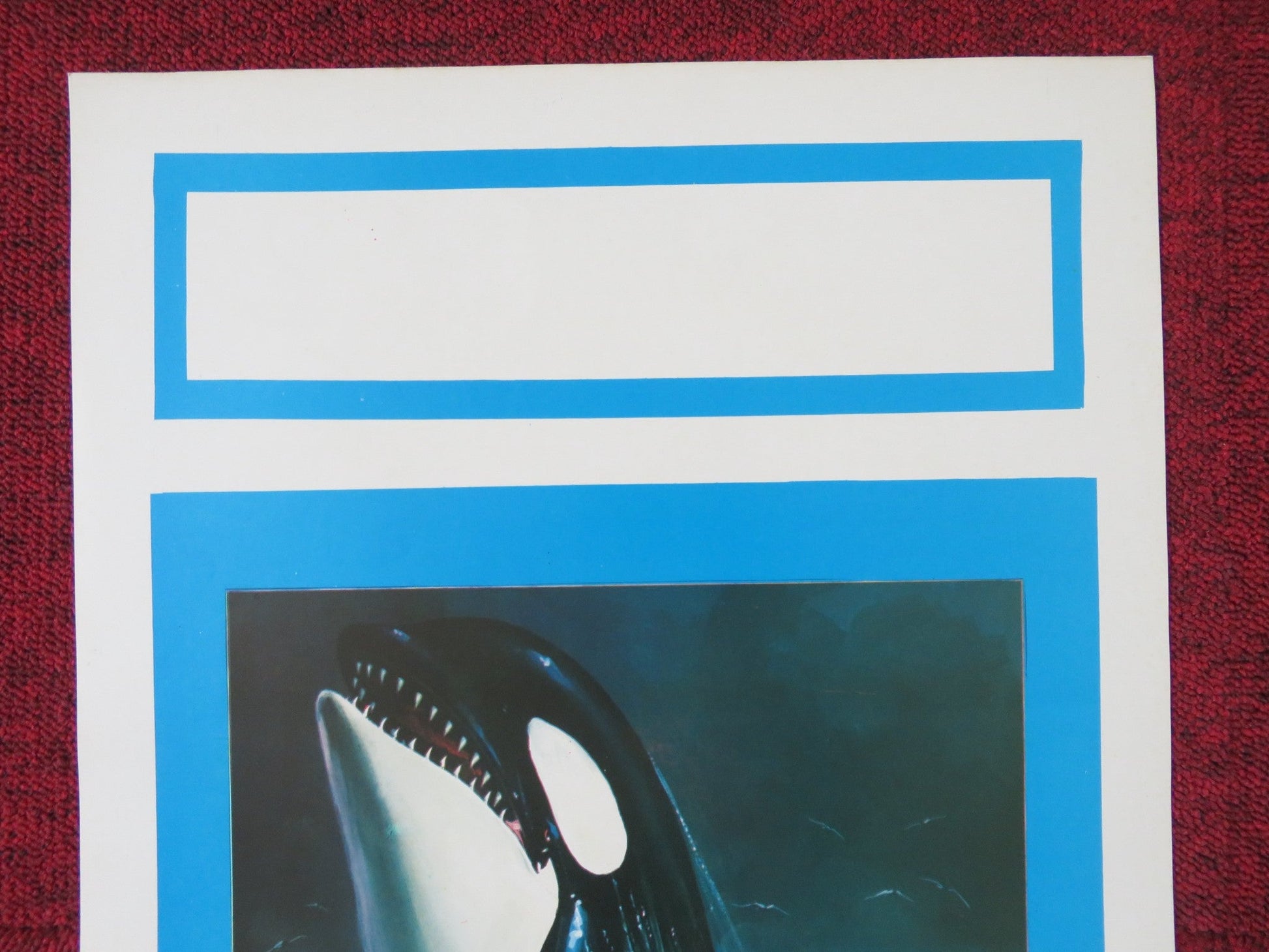 KILLERS OF THE WILD ITALIAN LOCANDINA POSTER ANDY PRUNA CAROS ZAPATA 1977 Rendezvous Cinema Movie posters