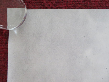 KING ARTHUR: LEGEND OF THE SWORD UK QUAD (30"x 40") ROLLED POSTER C. HUNNAM 2017 Rendezvous Cinema Movie posters