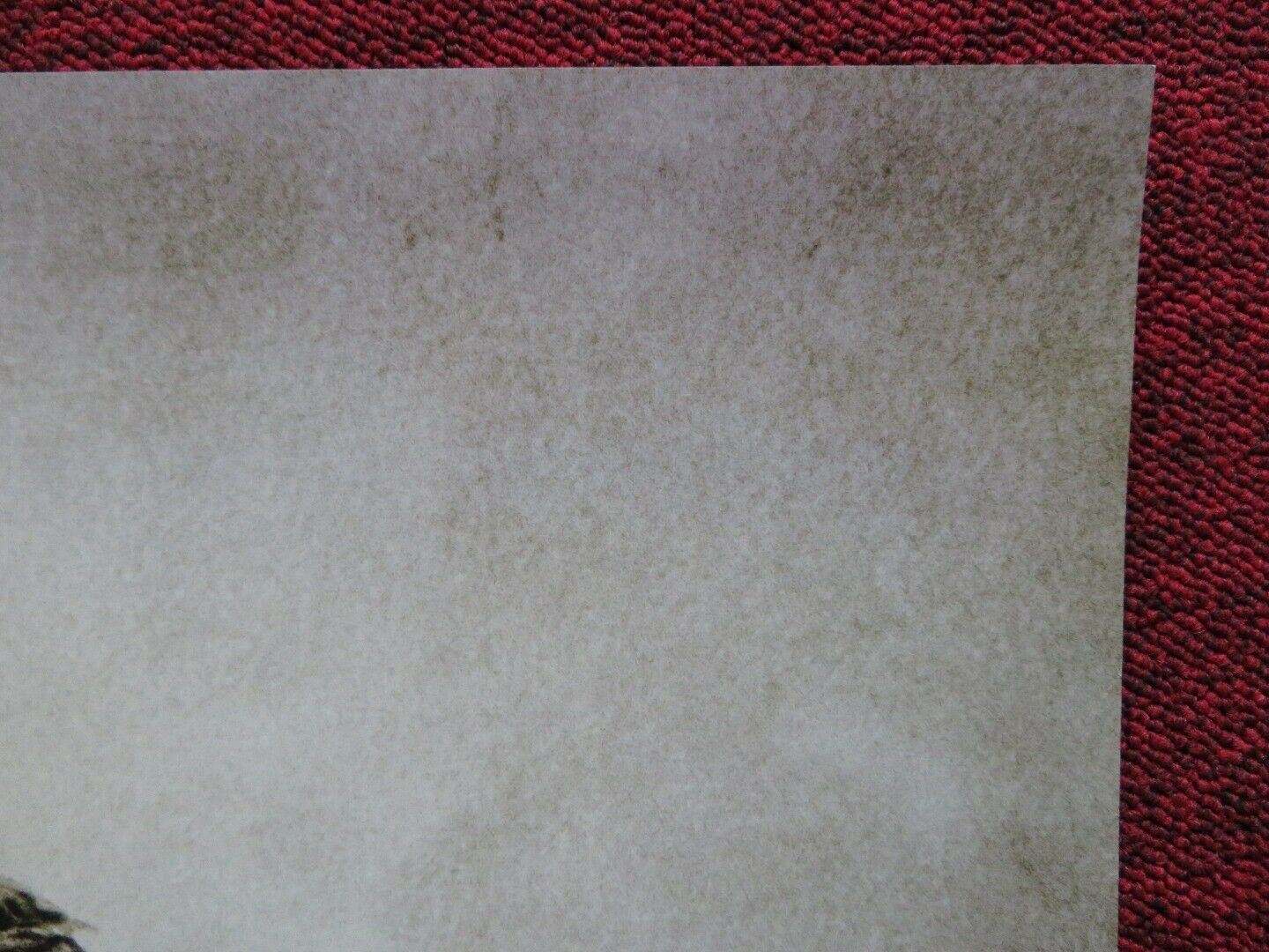 KING ARTHUR: LEGEND OF THE SWORD US ONE SHEET ROLLED POSTER GUY RICHIE 2017 - Rendezvous Cinema