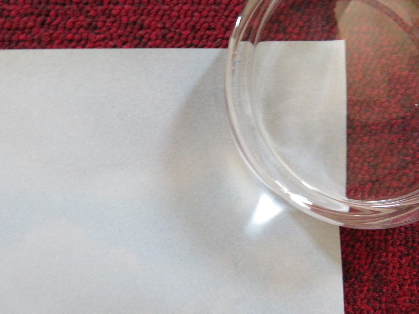 KING KONG - B UK QUAD (30"x 40") ROLLED POSTER NAOMI WATTS JACK BLACK 2005 Rendezvous Cinema Movie posters