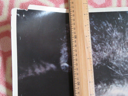 KING KONG LIVES ONE SHEET 33"x 26" ROLLED POSTER PETER ELLIOTT 1989 Rendezvous Cinema Movie posters