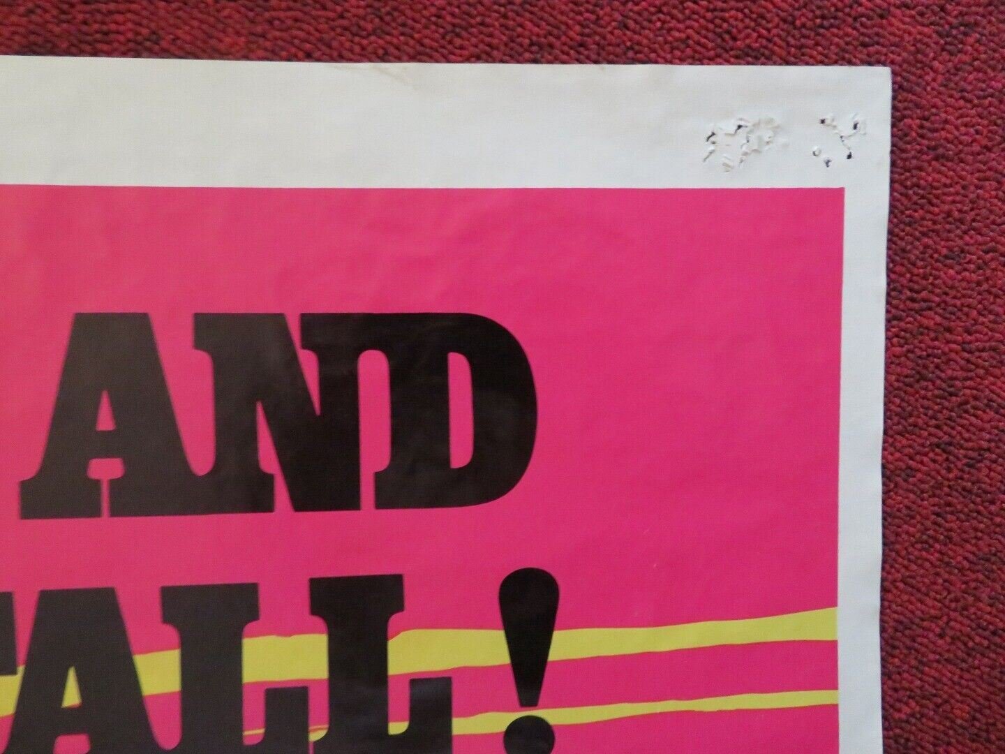 KING OF THE GRIZZLIES FOLDED US ONE SHEET POSTER DISNEY 1970 Movie posters