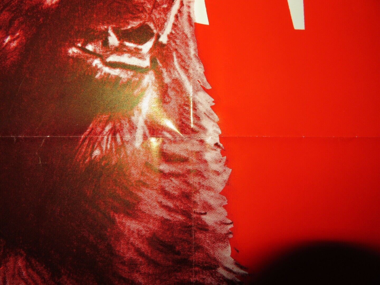 KING OF THE GRIZZLIES TEASER FOLDED US ONE SHEET POSTER DISNEY JOHN YESNO 1970 - Rendezvous Cinema