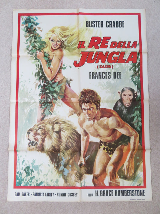 KING OF THE JUNGLE - b ITALIAN 2 FOGLIO POSTER BUSTER CRABBE FRANCES DEE 1970S Rendezvous Cinema Movie posters