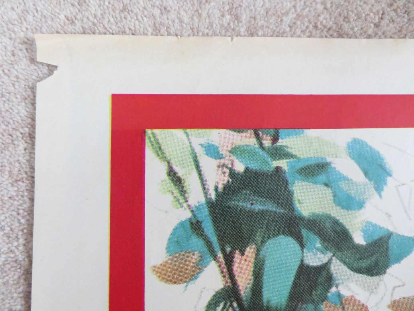 KING OF THE JUNGLE ITALIAN 2 FOGLIO POSTER BUSTER CRABBE FRANCES DEE R1970S Rendezvous Cinema Movie posters