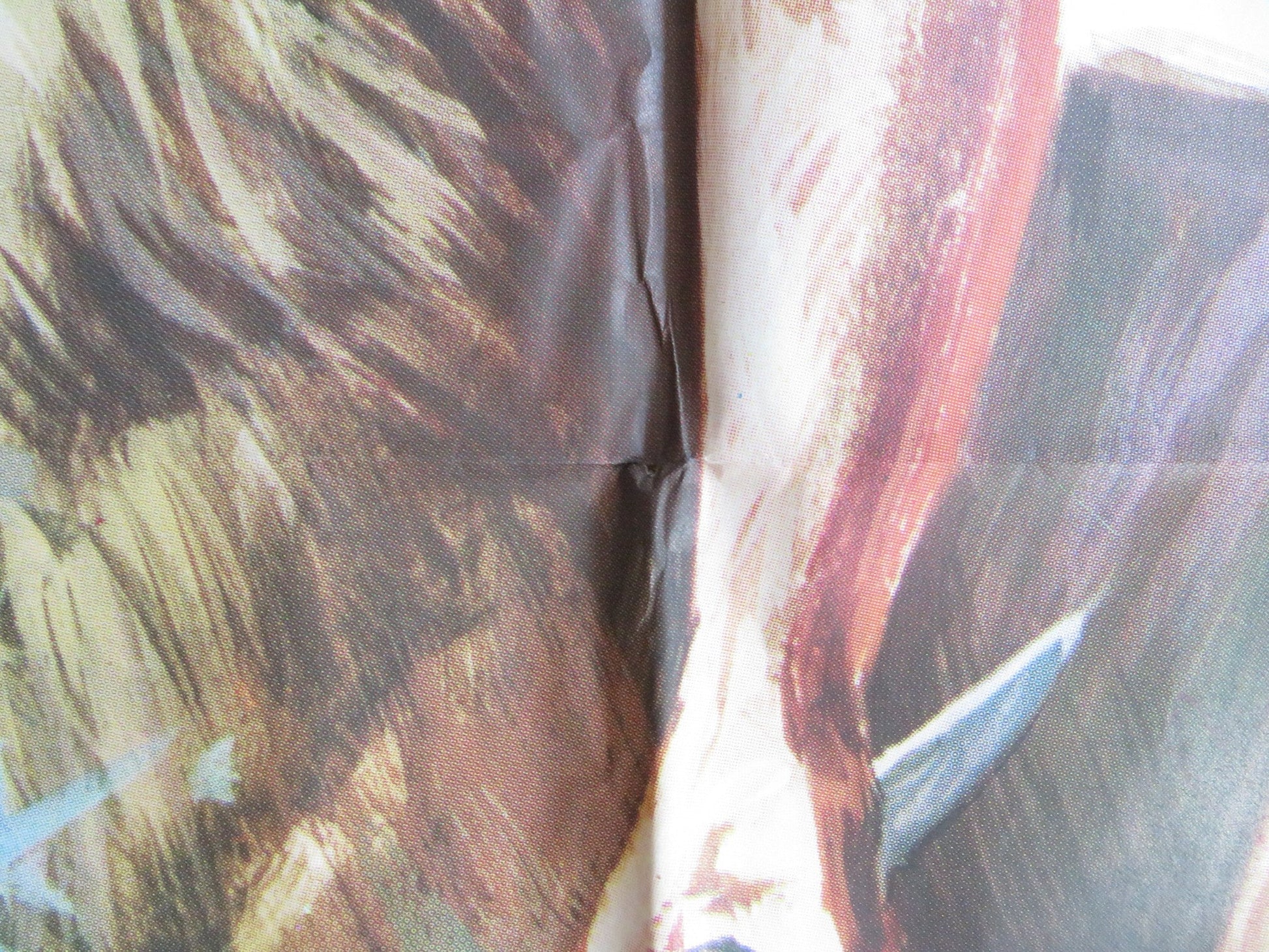 KING OF THE JUNGLE ITALIAN 2 FOGLIO POSTER BUSTER CRABBE FRANCES DEE R1970S Rendezvous Cinema Movie posters