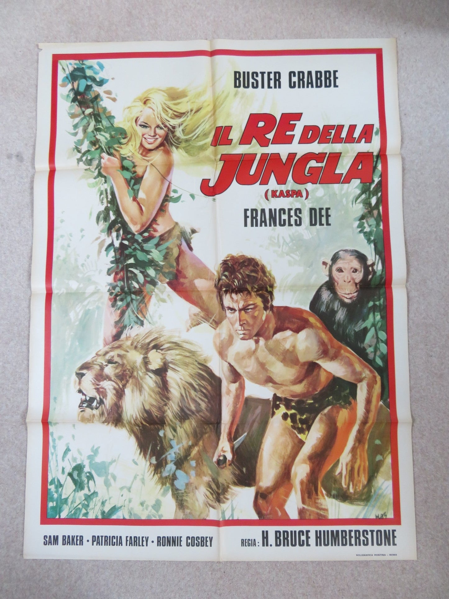 KING OF THE JUNGLE ITALIAN 2 FOGLIO POSTER BUSTER CRABBE FRANCES DEE R1970S Rendezvous Cinema Movie posters