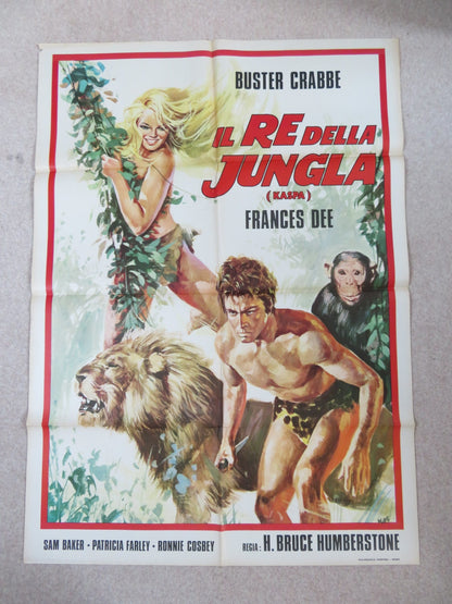 KING OF THE JUNGLE ITALIAN 2 FOGLIO POSTER BUSTER CRABBE FRANCES DEE R1970S Rendezvous Cinema Movie posters