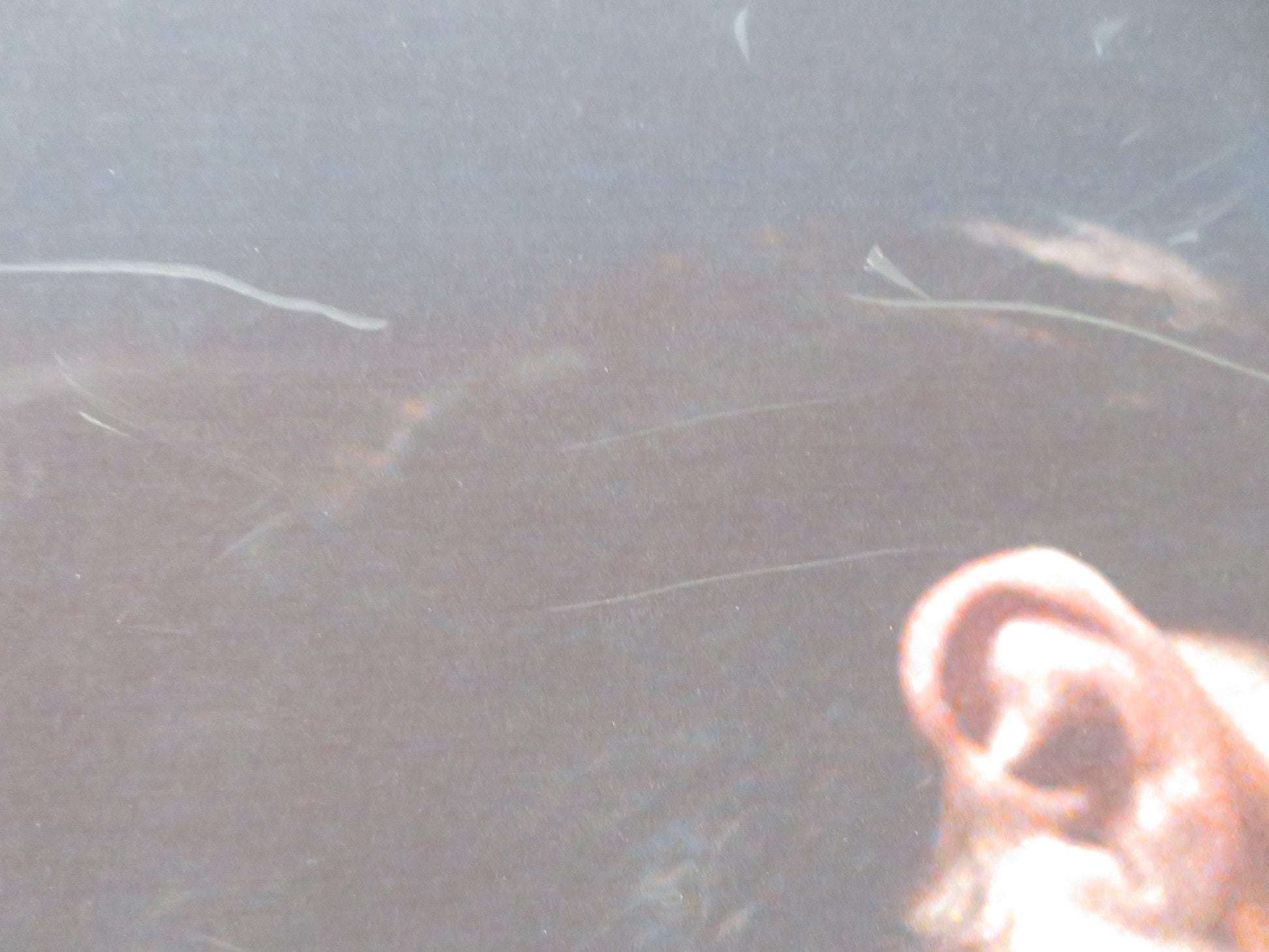 KISS OF THE DAMNED UK QUAD (30"x 40") ROLLED POSTER JOSEPHINE DE LA BAUME 2012 Rendezvous Cinema Movie posters